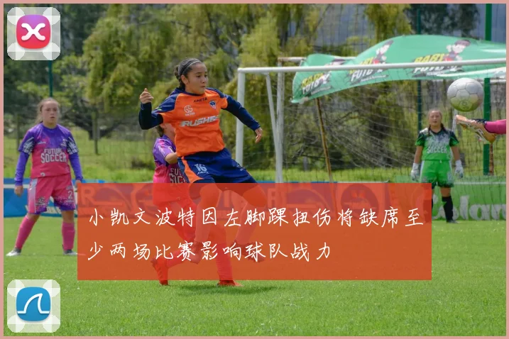 小凯文波特因左脚踝扭伤将缺席至少两场比赛影响球队战力