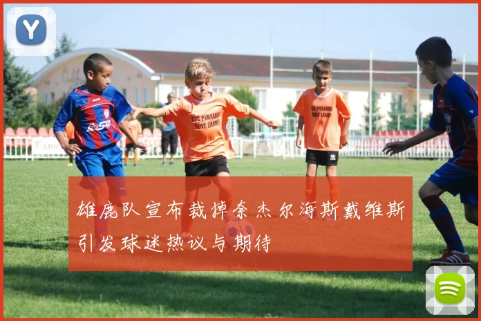 雄鹿队宣布裁掉奈杰尔海斯戴维斯引发球迷热议与期待