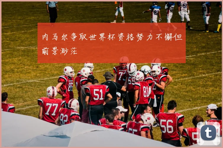 内马尔争取世界杯资格努力不懈但前景渺茫