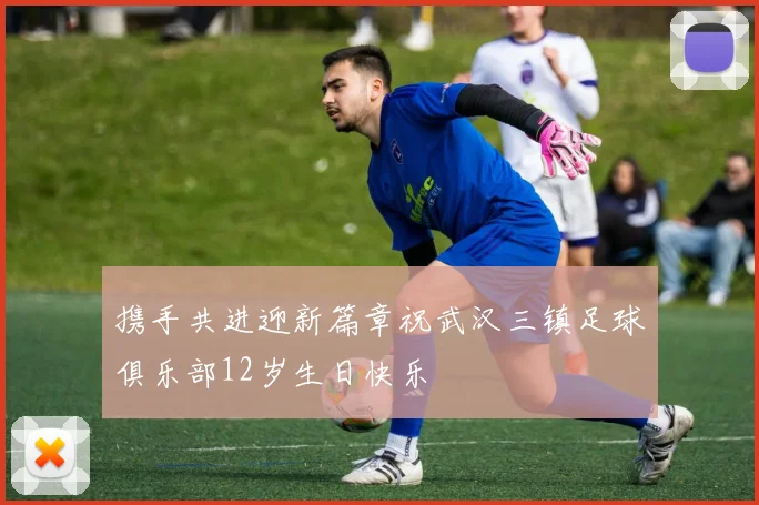 携手共进迎新篇章祝武汉三镇足球俱乐部12岁生日快乐